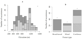 Attēlu rezultāti vaicājumam “Herzogiella seligeri sporophyte”