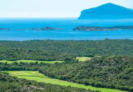 Image result for Peover Golf Club