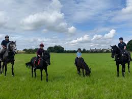Image result for Liverpool Equestrian Club