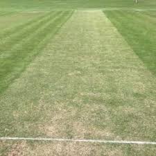 Image result for Bredgar Cricket Club