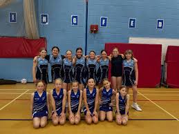Image result for Plymouth Civil Service Netball Club
