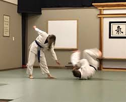 Image result for Ki Aikido (Epsom Ki Aikido