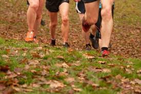 Image result for Middlesbrough A C (Mandale)