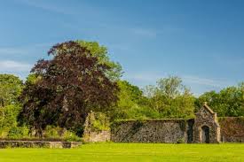 Image result for Whitland