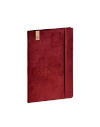 Image result for grāmata, kuru nenopirka dienasgramata