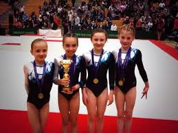 Image result for Vernon Park Gymnastics