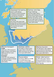 Image result for Solway