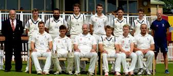 Image result for Halstead Colts Cricket Club