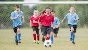 Image result for Phoenix Youth Sc