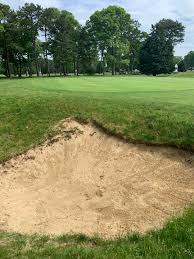 Image result for Falmouth and Helston Octopush Club