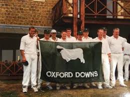 Image result for Oxford Downs Cricket Club