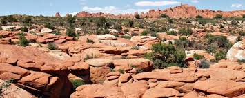 Image result for Atherton Devils