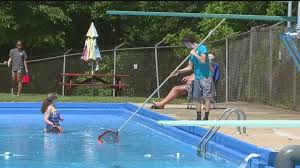 Image result for York University Pool Club