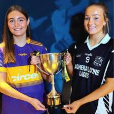 Image result for Carryduff Gaelic Athletic Club