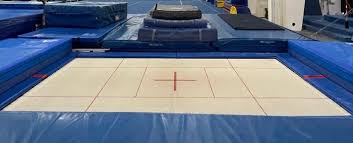 Image result for White Rose Trampoline Academy