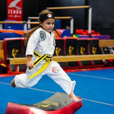 Image result for Okami Karate & Fitness Schools