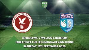 Image result for Walton & Hersham Football Club