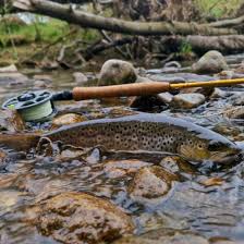 Image result for Aberdeen & District Angling Association