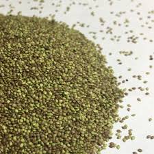 Attēlu rezultāti vaicājumam “Urtica dioica fruit”