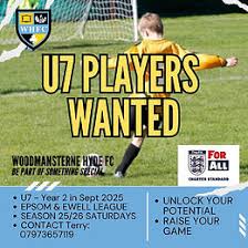 Image result for Woodmansterne Sports Fc