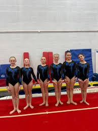 Image result for Hinckley Gymnastics Club