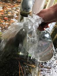 Image result for Wild Water Planet