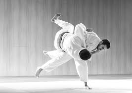 Image result for Goshin Ryu Atemi JuJitsu