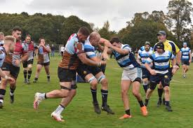 Image result for Reigate Rugby Football Club