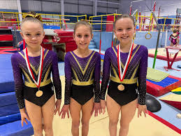 Image result for Diamonds Gymnastics Club