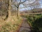 adennill yr heol fetel nas - via Daymix