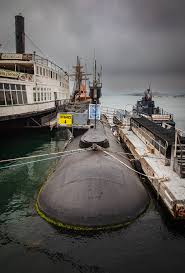 Image result for Dolphin Sub Aqua