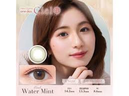 「ネオサイトワンデーシエル」の画像検索結果