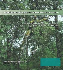 Attēlu rezultāti vaicājumam “Campylophyllum sommerfeltii”