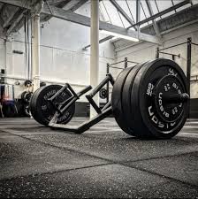 Image result for Calibre Performance Coaching