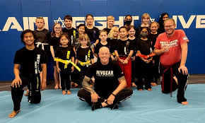 Image result for America's Best Karate Chandler