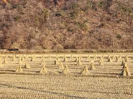 Image result for 붶