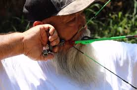 Image result for Panther Bowhunters Field Archery Club