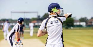 Image result for Colfeian Sports Club