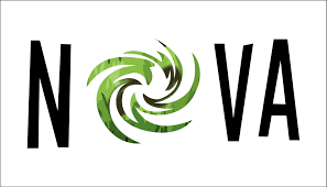 Image result for Newdigate Netball Club