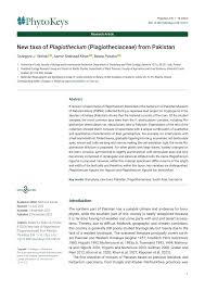 Attēlu rezultāti vaicājumam “Plagiothecium latebricola macro”