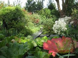 Image result for Mien Ruys