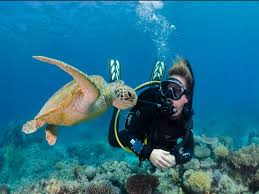 Image result for Seabug Divers