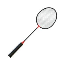 Image result for Fusion Badminton Club