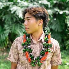 Attēlu rezultāti vaicājumam “Leiocolea collaris”