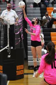 Image result for Reading Aces Volleyball Club