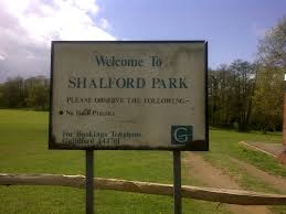 Image result for Shalford F C