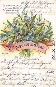 Image result for Vergissmeinnicht