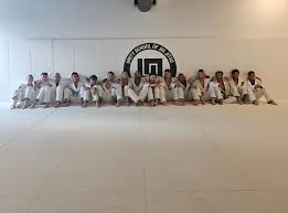 Image result for Unity School Of Jiu Jitsu
