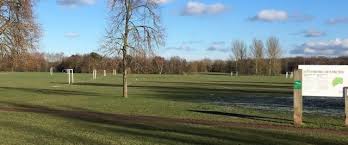 Image result for Welwyn Garden City Panshanger Football Club