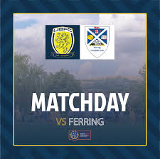 Image result for Upper Beeding Fc